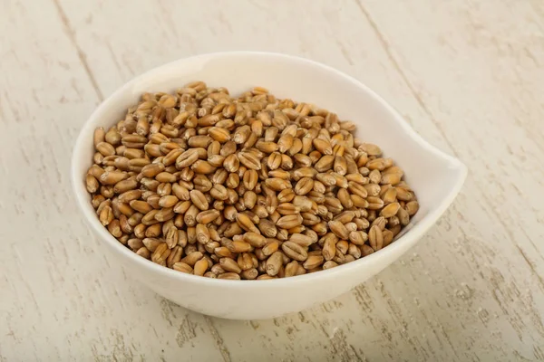Зерна пшеницы в миске — стоковое фото