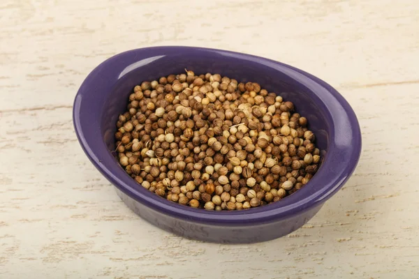 Coriander seeds in the bowl — Stock Photo, Image