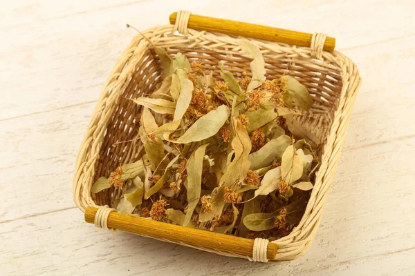 Dried linden in the bowl — Stock Photo, Image