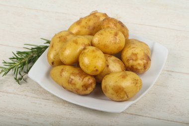 ham genç patates