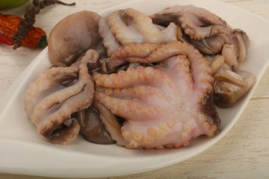 ham ahtapot yemek için hazır