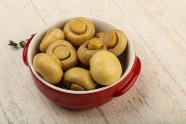 Kabın içinde Marine petrol