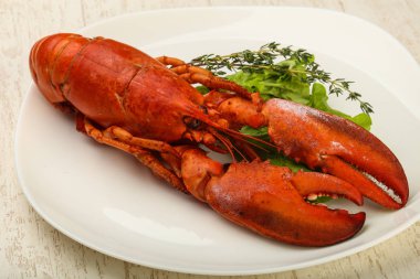 lezzetli haşlanmış ıstakoz