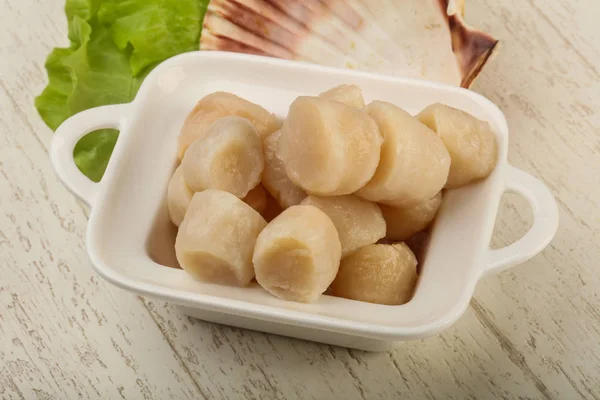 Raw scallops heap — Stock Photo, Image