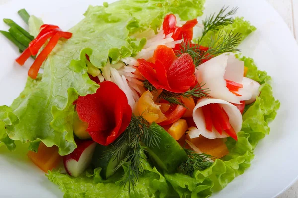 Dietary Vegan salad — Stock Photo, Image