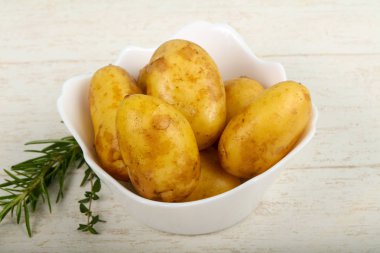 Ham genç patates