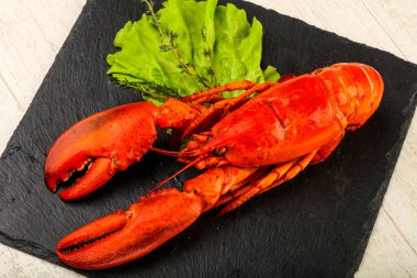 lezzetli haşlanmış ıstakoz