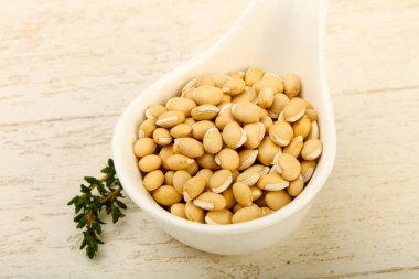 çiğ beyaz fasulye