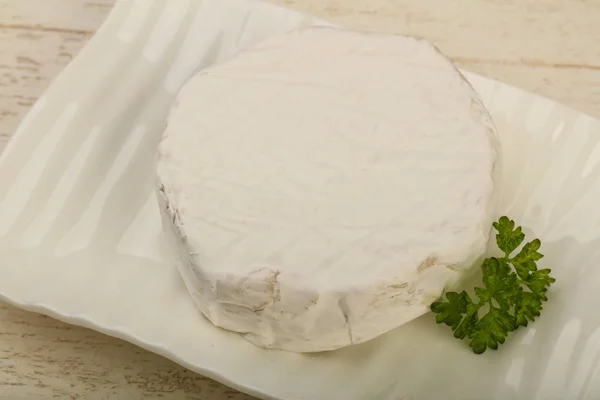 Queso Camembert gourmet — Foto de Stock