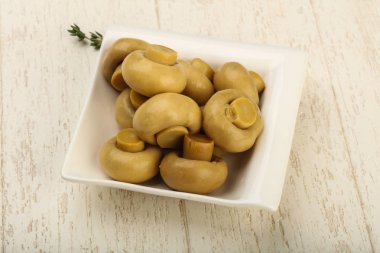 Kabın içinde Marine petrol