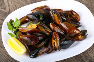 Gurme haşlanmış midye