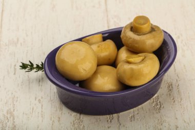 Kabın içinde Marine petrol