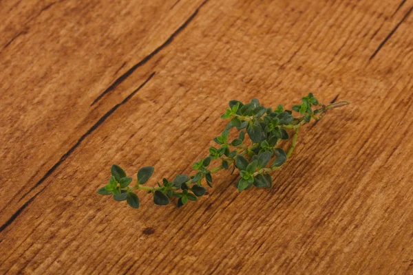 Foglie di timo verde — Foto Stock