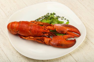 lezzetli haşlanmış ıstakoz