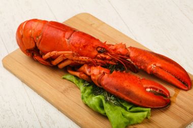 lezzetli haşlanmış ıstakoz