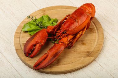 lezzetli haşlanmış ıstakoz