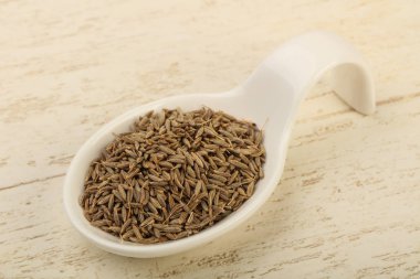 Kimyon tohumu kabın içinde