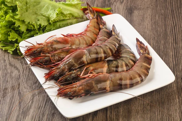 Udang harimau besar mentah — Stok Foto