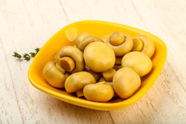 Kabın içinde Marine petrol