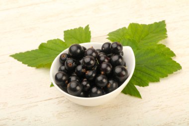 Olgun siyah kuş üzümü