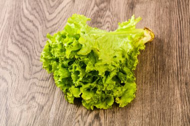 Taze yeşil salata yaprakları