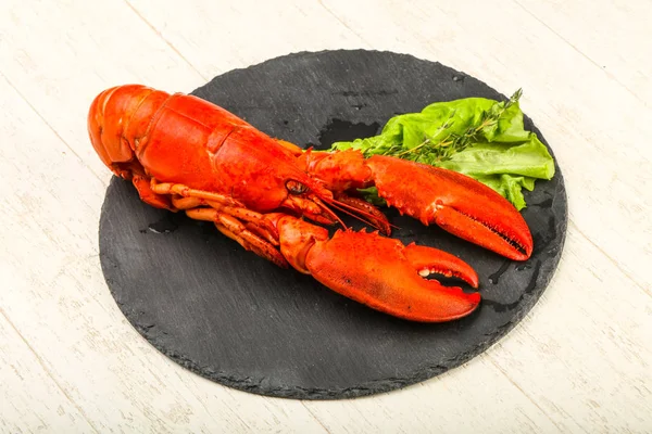Delicious Boiled Lobster — Stock Photo, Image