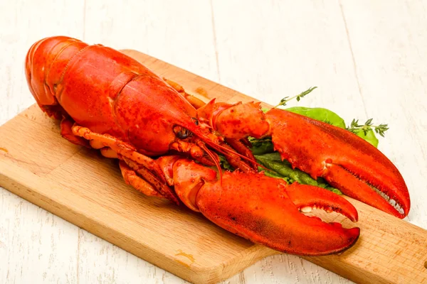 Gotowy do jedzenia gotowanego homara — Zdjęcie stockowe