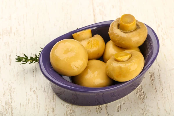 Kabın içinde Marine petrol