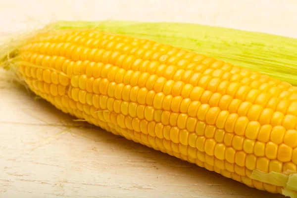 Ripe fresh young corn — Stock Photo, Image
