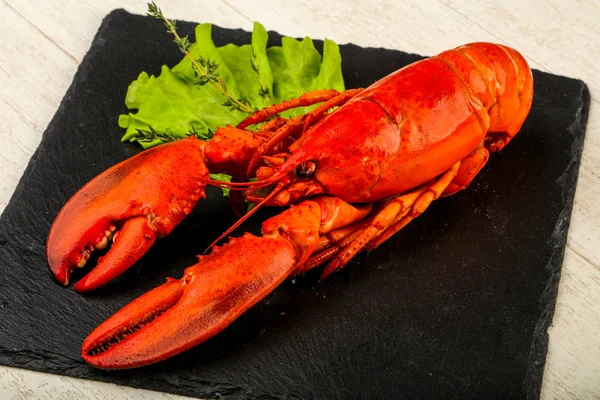 lezzetli haşlanmış ıstakoz