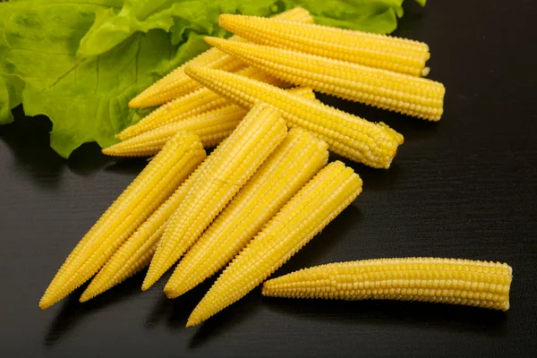 Young baby corn — Stock Photo, Image
