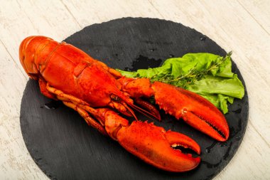 lezzetli haşlanmış ıstakoz