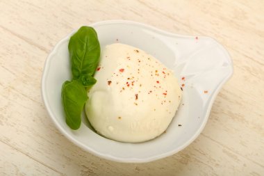 Gurme Mozzarella peyniri