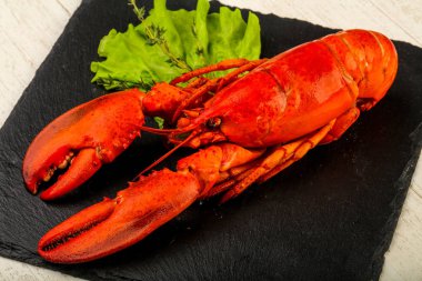 lezzetli haşlanmış ıstakoz