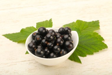 Olgun siyah kuş üzümü