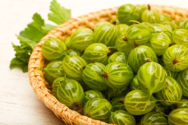 Kabın içinde olgunlaşmış bektaşi