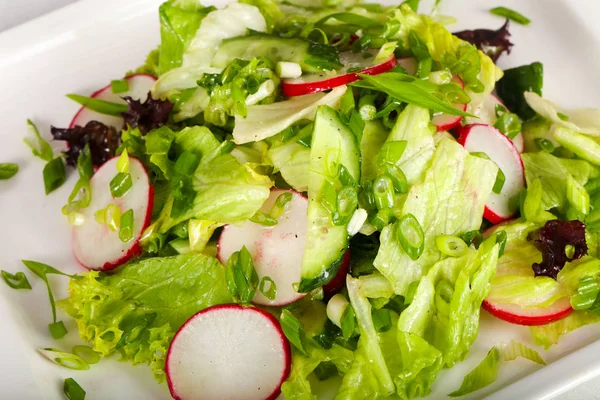 Ensalada dietética con rábano — Foto de Stock