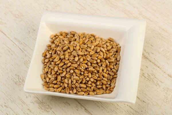 Зерна пшеницы в миске — стоковое фото
