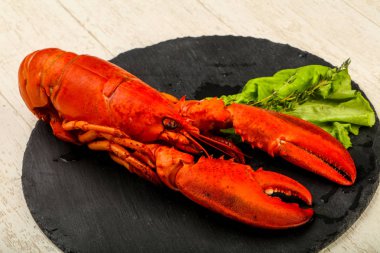 lezzetli haşlanmış ıstakoz