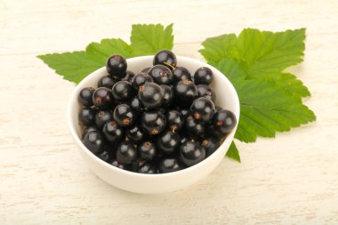 Olgun siyah kuş üzümü