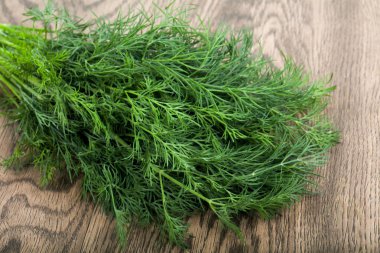 Taze dereotu dalları