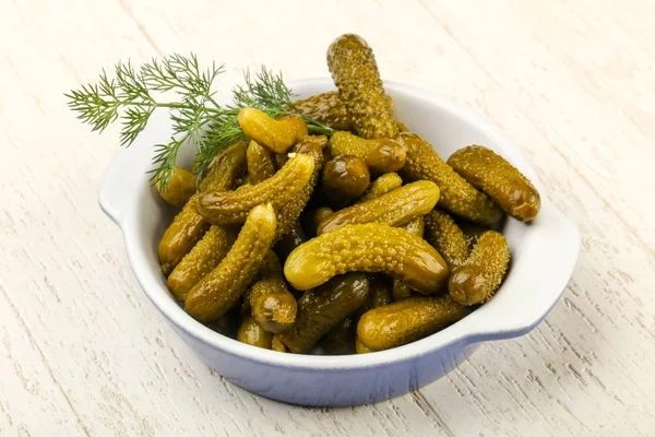 Pickled cucumbers in the bowl — Stock Photo, Image