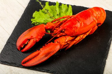 haşlanmış ıstakoz plaka