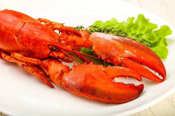 Boiled Lobster in white plate — Stock Photo, Image