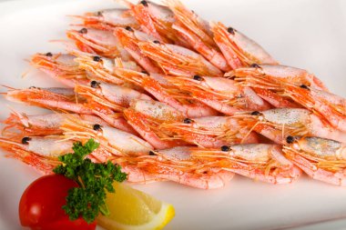 Haşlanmış karides kase - yemek için hazır 