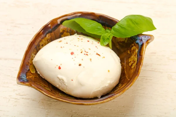 Queso mozzarella con hojas de albahaca — Foto de Stock