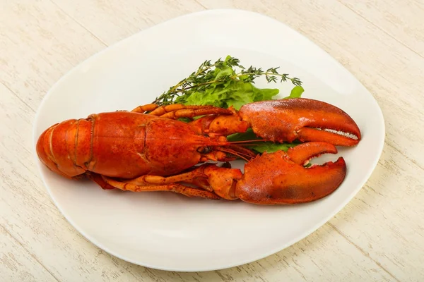 Boiled Lobster on plate — Stock Photo, Image
