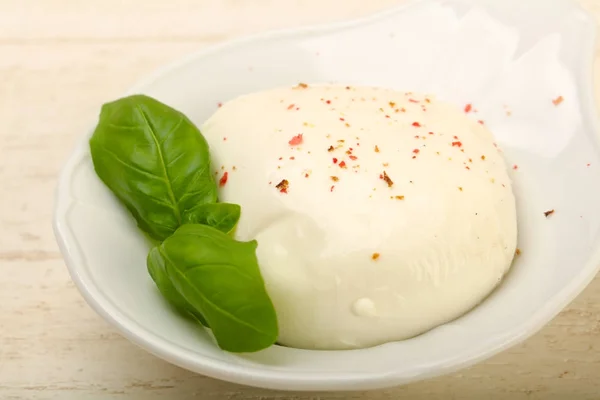 Queso mozzarella con hojas de albahaca — Foto de Stock