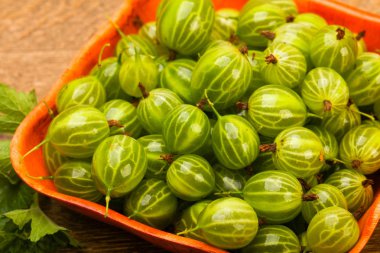 Bektaşi closeup kase ahşap masa arka plan üzerinde