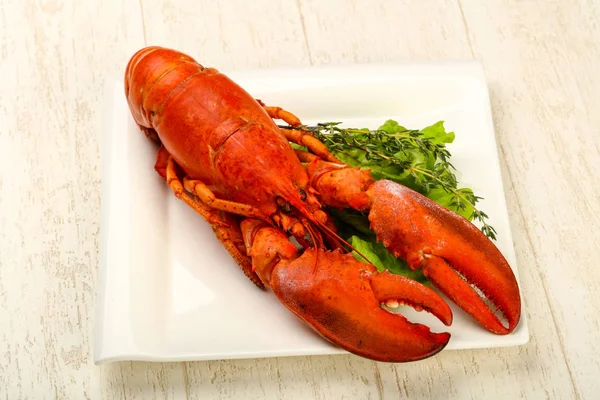 Boiled Lobster on plate — Stock Photo, Image